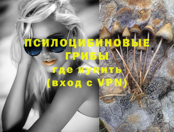 MDMA Premium VHQ Бородино