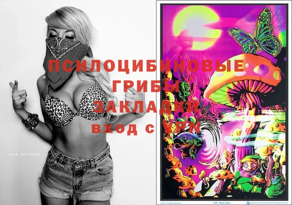 MDMA Premium VHQ Бородино