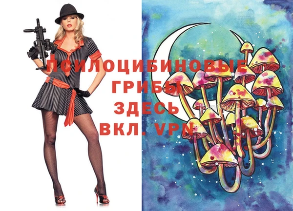 ALPHA-PVP Бугульма