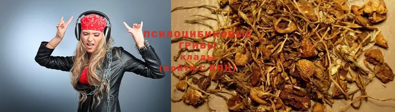 МЕГА сайт  Волосово  Галлюциногенные грибы Psilocybe  цена  